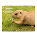 Search for marmot office supplies calendars