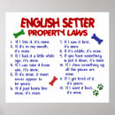 Search for english setter gifts Funny