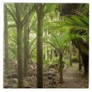 Search for bush tiles Beautiful