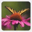 Search for tiger swallowtail stickers Yellow