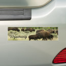 Search for yellowstone bumper stickers Buffalo