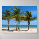 Search for tree key art Sand