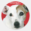 Search for remembering stickers Dogs