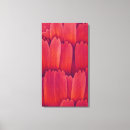 Search for scales art Background