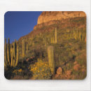 Search for pipe mouse mats Arid