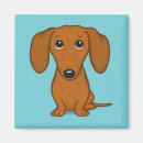 Search for weeny magnets Dachshund