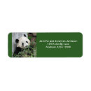 Search for panda return address labels Bear
