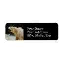 Search for conservation return address labels Wildlife