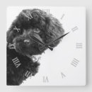 Search for poodle puppy art Puppies