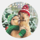 Search for prairie dogs stickers Animal