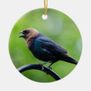 Search for the called christmas tree decorations Bird