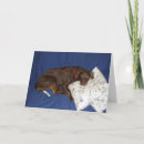 Search for labrador get well soon Sick