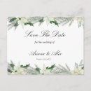 Search for white pine postcards Flower