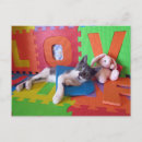 Search for bob postcards Photograph