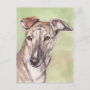 Search for greyhounds postcards Portrait