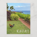 Search for hawaii souvenirs postcards Kauai