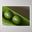 Search for peas in a pod posters Green