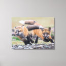 Search for wild fox canvas prints Nature