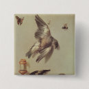 Search for dead square badges Nature