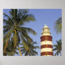 Search for cay posters Tropical