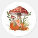 Search for fox baby stickers Wildlife