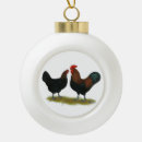 Search for marans Hen
