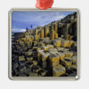 Search for column christmas tree decorations Coast
