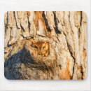 Search for screech mouse mats Eastern screech owl