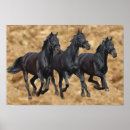 Search for papa noel posters Animals