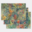 Search for bromeliad Rainforest