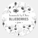 Search for blueberry stickers Modern