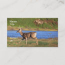 Search for whitetail deer business cards Stag