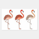 Search for coral color stickers Pink