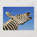 Search for sanctuary postcards Wildlife