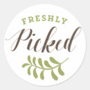 Search for pick stickers Modern