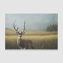 Search for deer stand Buck