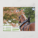 Search for draught postcards Farm
