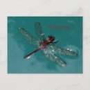 Search for bug pictures postcards Nature