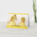 Search for luckiness cards For her