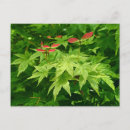Search for spring rain postcards Botanical