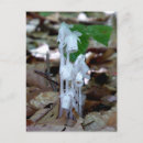 Search for ghost postcards White