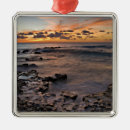 Search for seascape christmas tree decorations Caribbean sea