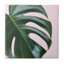 Search for monstera tiles Nature