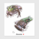 Search for froggy stickers Amphibian