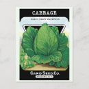 Search for vintage seed packets postcards Retro