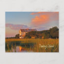 Search for pelicans postcards Souvenir