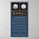 Search for pictures of seashells posters Photography