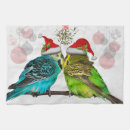 Search for budgie bird Pet