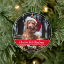 Search for holiday pet memorial christmas tree decorations Remembrance keepsake memento