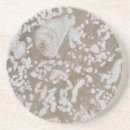 Search for fossil coasters Geology